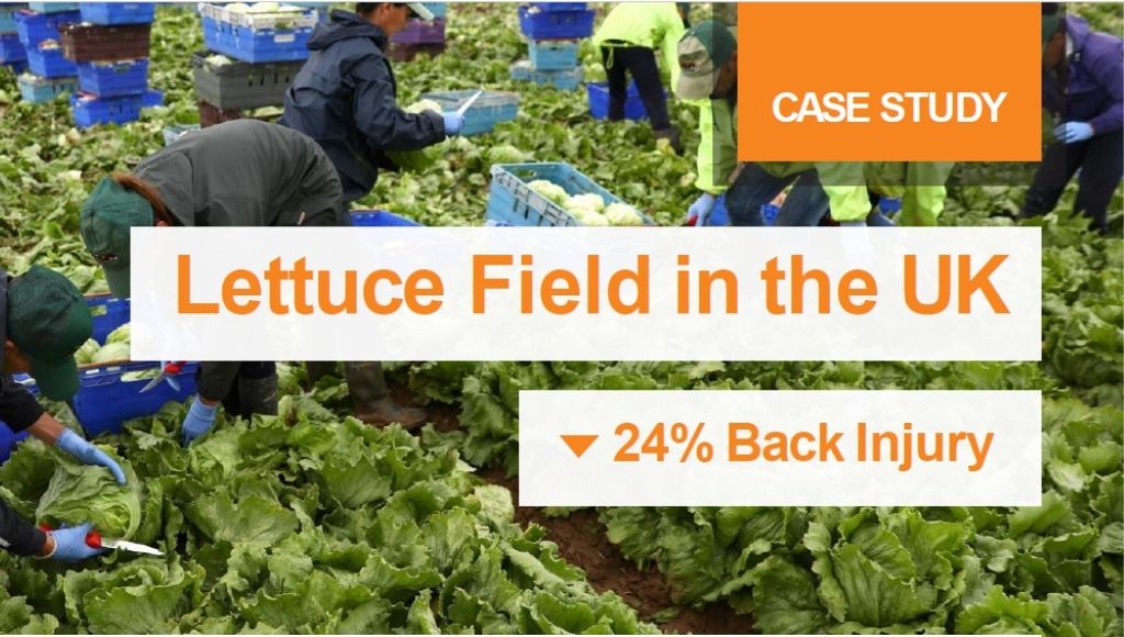 Workforce Wellness Solution